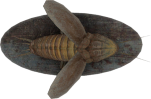 FO4-Mounted-Radroach.png
