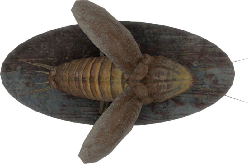 Fichier:FO4-Mounted-Radroach.png
