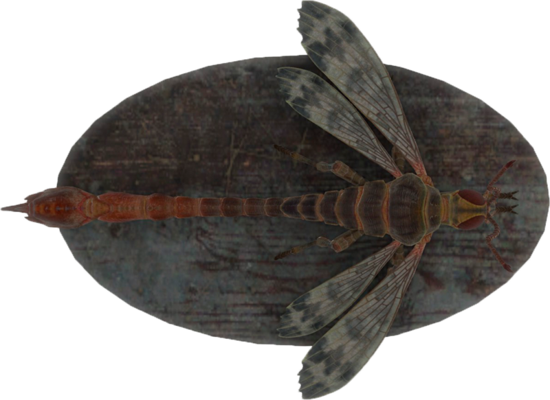 Fichier:FO4-Mounted-Stingwing.png