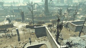 FO4NW AventureSafari 5.jpg