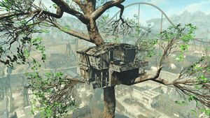 FO4NW CabaneCappy.jpg