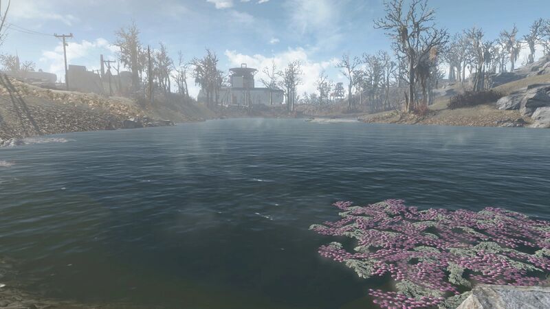 Fichier:FO4 Étang de Dark Hollow.jpg