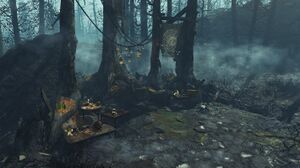 FO4 Bosquet luminescent.jpg