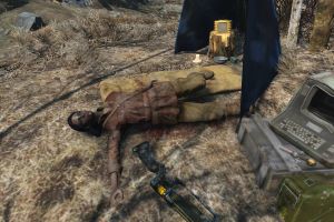FO4 Liza.jpg