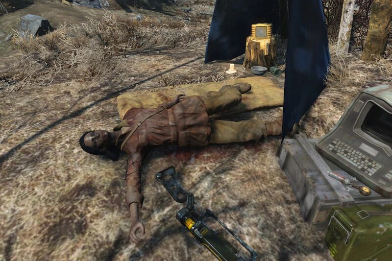 Fichier:FO4 Liza.jpg