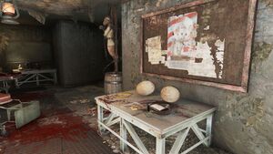 FO4 emplacement Allez dire ça à Mason.jpg