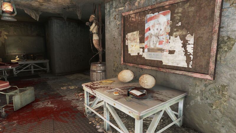 Fichier:FO4 emplacement Allez dire ça à Mason.jpg