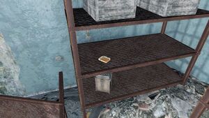 FO4 emplacement C'est fini.jpg