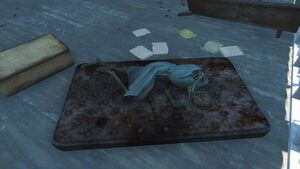 FO4 emplacement Holobande de la fugitive.jpg