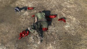 FO4 emplacement Holobande du soldat Hart.jpg