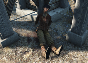 FO4 emplacement Instructions d'Helena.png