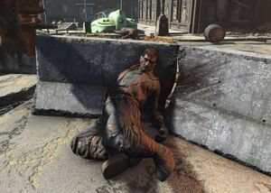 FO4 emplacement Journal de Carl.jpg
