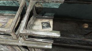 FO4 emplacement Photo de Silver Shroud.jpg