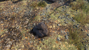 FO76NW Chally Stinky Pile.png