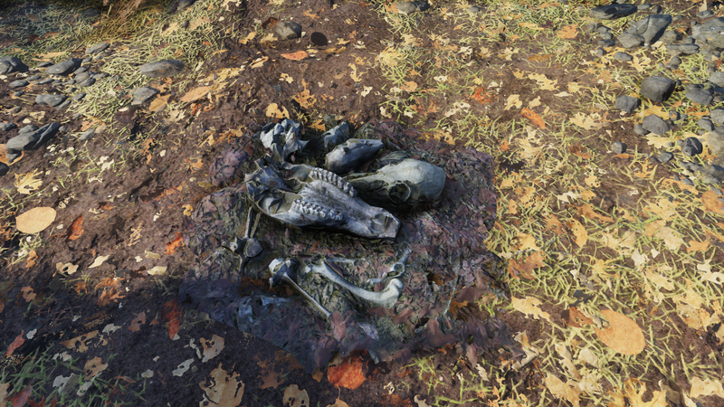 Fichier:FO76NW Leftovers.png