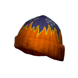 FO76NW NW Beanie.png