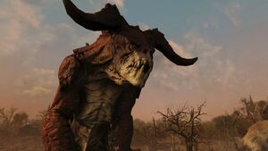 FO76SA Sources ardentes promo-14.jpg