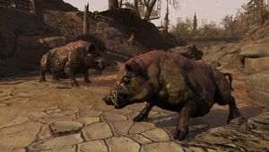 FO76SA Sources ardentes promo-15.jpg