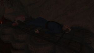 FO76SR Fissure dissimilee habitant abri.jpg