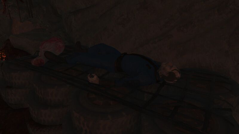 Fichier:FO76SR Fissure dissimilee habitant abri.jpg