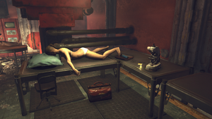 FO76SR Vault 96 (FEV research log 112).png
