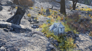 FO76WA Janelle's camp.png