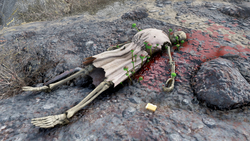 Fichier:FO76WA Janelle Priblo.png