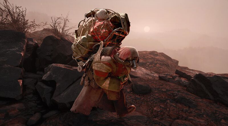 Fichier:FO76WL Treasure Hunter Banner.jpg