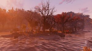 FO76 Île des écorcheurs 01.jpg