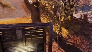 FO76 Île des écorcheurs 02.jpg