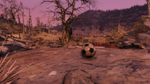 FO76 191020 Majestic soccer ball.png