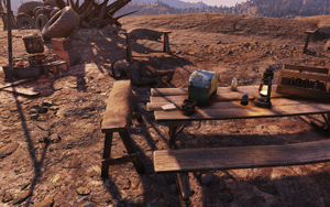 FO76 Always watching.png