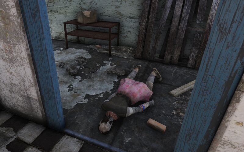 Fichier:FO76 Amy Kerry.jpg