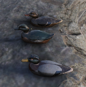 FO76 Appeau à canard.PNG