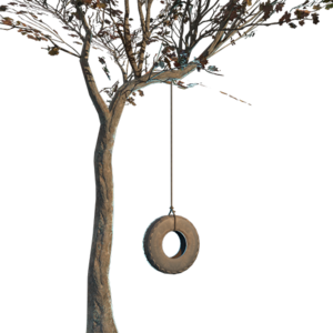 FO76 Arbre à balançoire-pneu.png