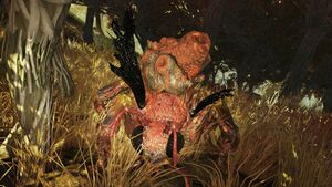 FO76 Bête à miel enragée.jpg