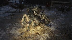 FO76 Bête à miel putréfiée.jpg