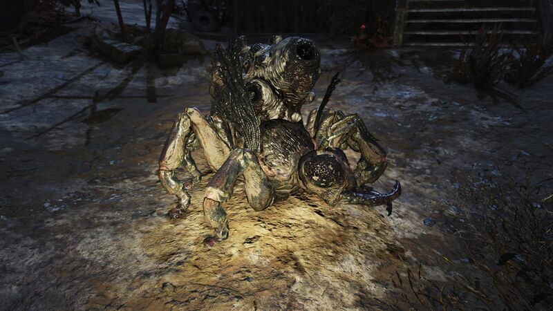 Fichier:FO76 Bête à miel putréfiée.jpg
