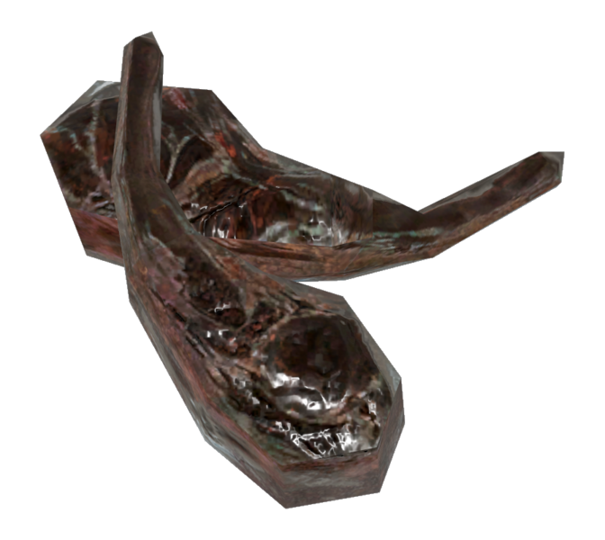 Fichier:FO76 Côtes de chien.png