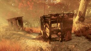 FO76 Cabane de chasseur.jpg