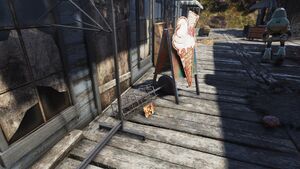 FO76 Camden Park (Potential magazine).jpg