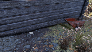 FO76 Camp Adams magazine 2.png