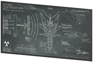 FO76 Chalkboard 12.png