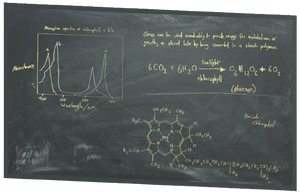 FO76 Chalkboard 17.png