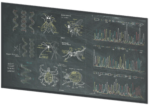 FO76 Chalkboard 4.png