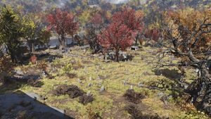 FO76 Cimetière du comté de Kanawha 02.jpg
