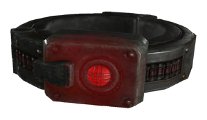 FO76 Collier de prisonnier.png
