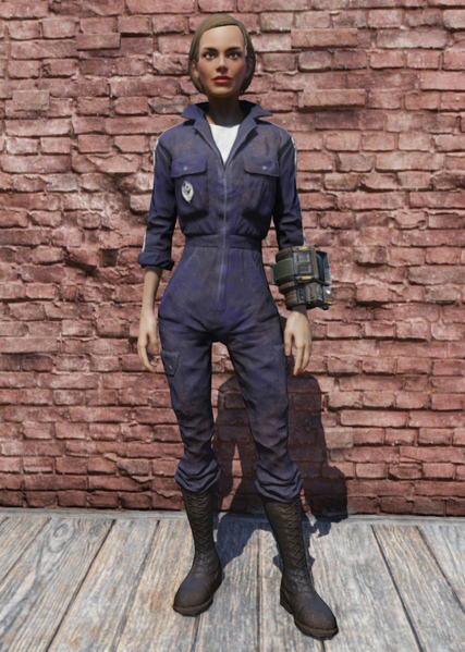 Fichier:FO76 Combinaison BOS.png