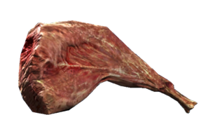 FO76 Cuisse de poulet.png