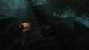 FO76 Décharge abandonnée 01.jpg